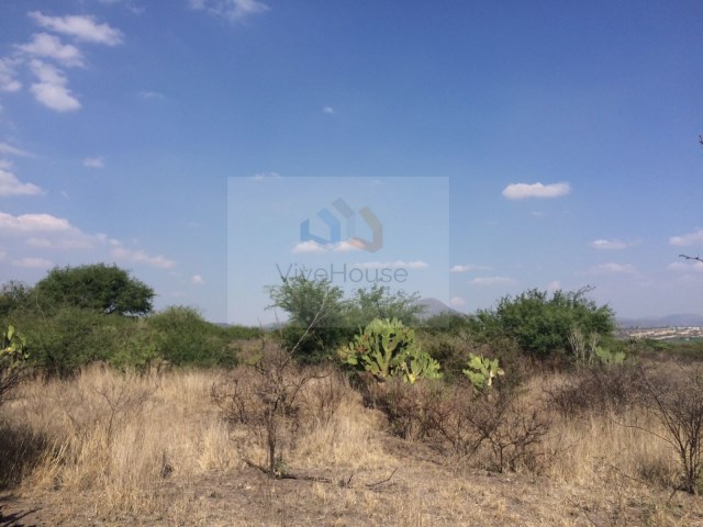 Terreno en Venta en Real del Bosque