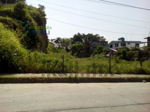 Terreno en Renta en Tuxpan de Rodriguez Cano Centro