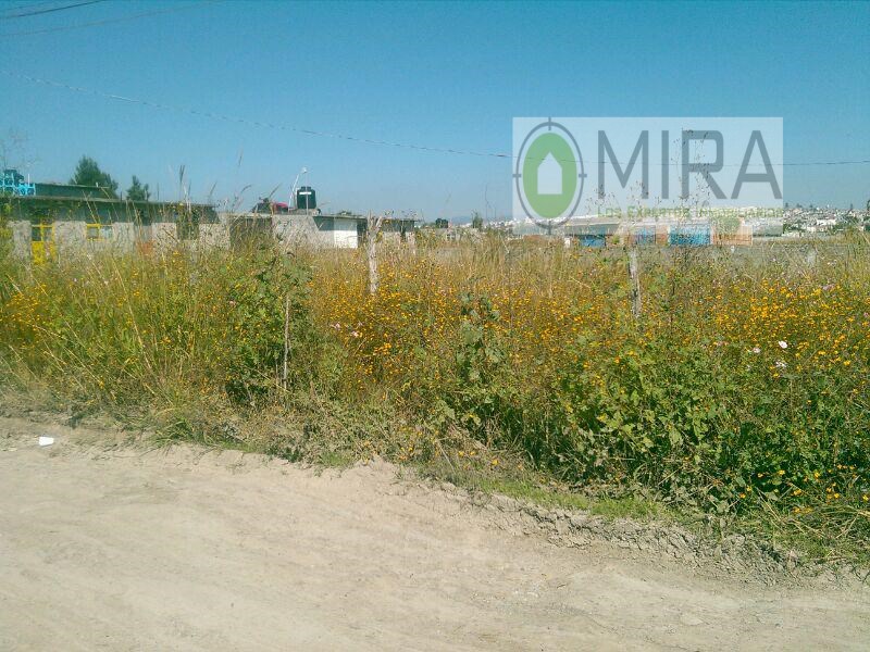 Terreno en Venta en Gertrudis Sanchez