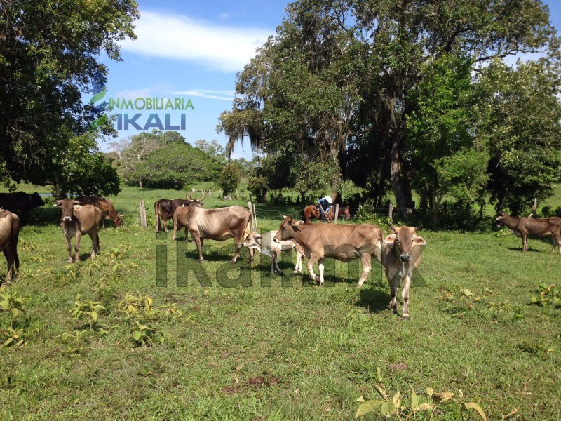 Terreno en Venta en Paises Bajos