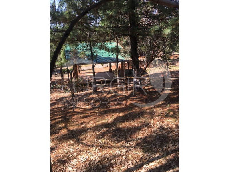 Terreno en Venta en Quiroga