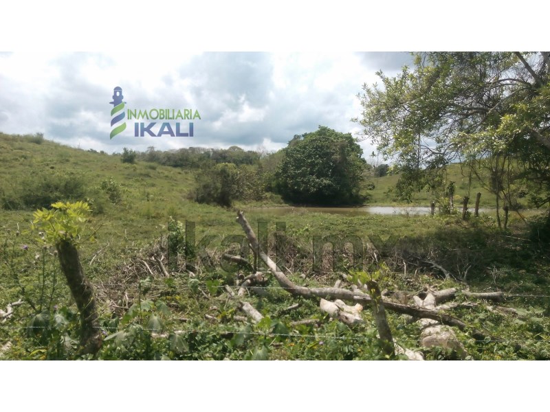 Terreno en Venta en Cruz Naranjos