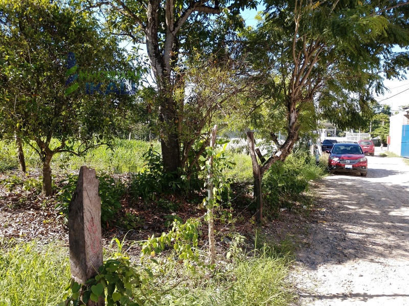 Terreno en Venta en Ceas