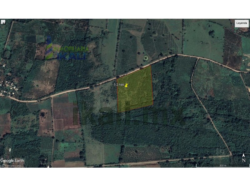 Terreno en Venta en Ojite