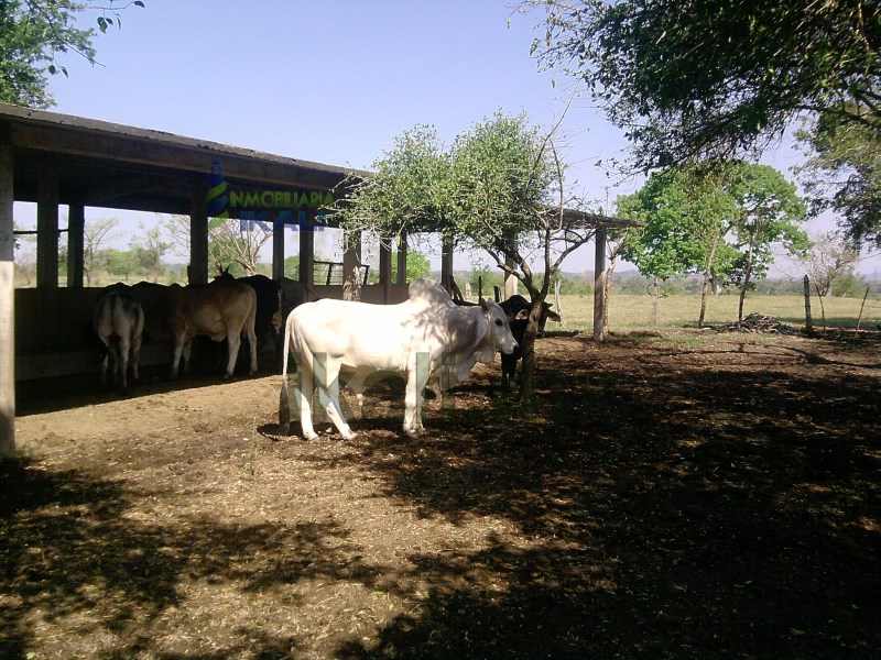 Terreno en Venta en Serafin Olarte