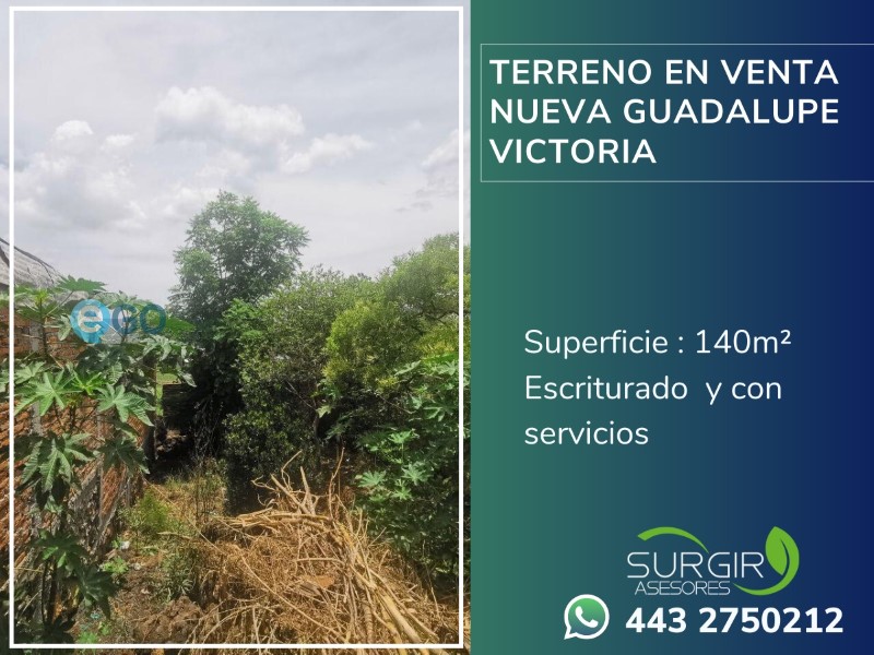 Terreno en Venta en Guadalupe Victoria