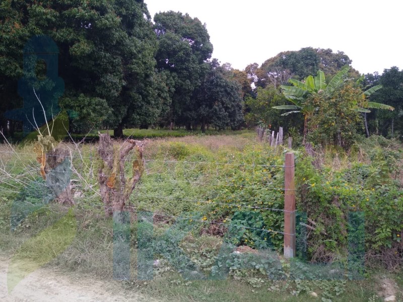Terreno en Venta en Higueral