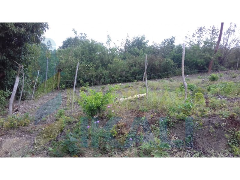 Terreno en Venta en Parcela 44