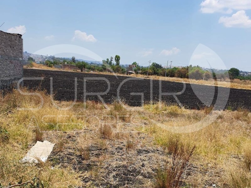 Terreno en Venta en Torreon Nuevo