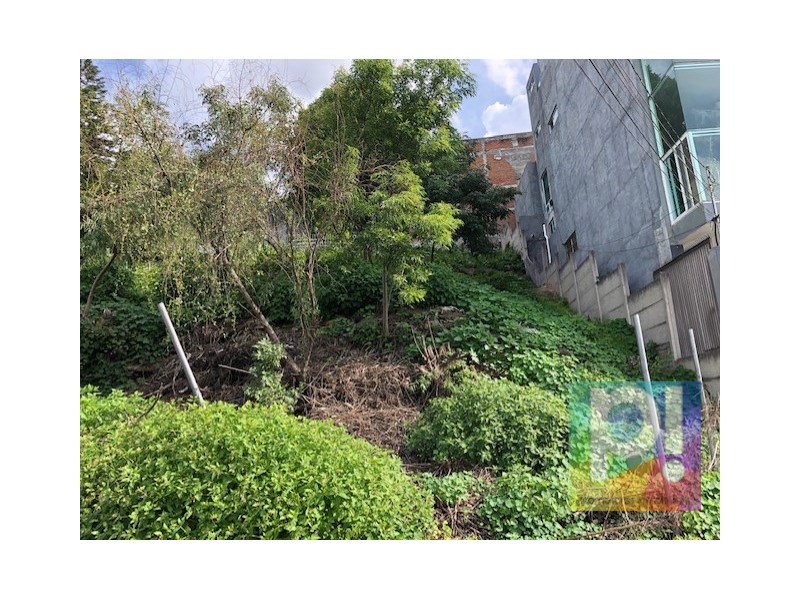 Terreno en Venta en Nueva Jacarandas