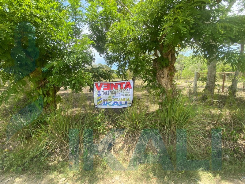 Terreno en Venta en Isla de Juana Moza