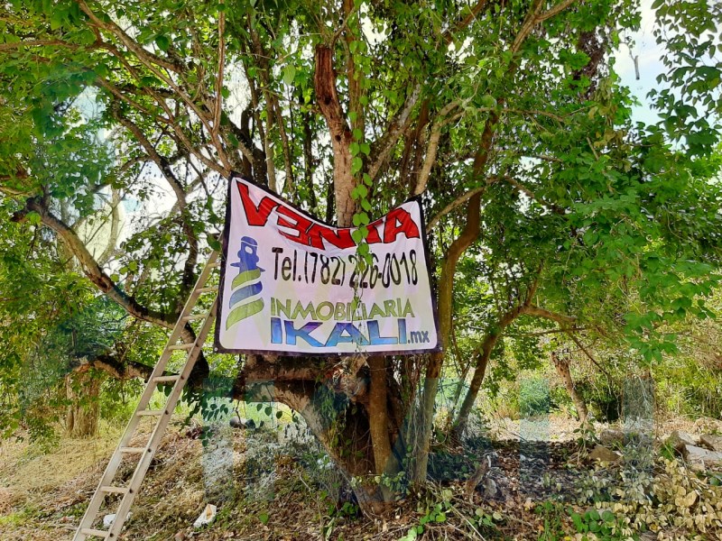 Terreno en Venta en Primavera