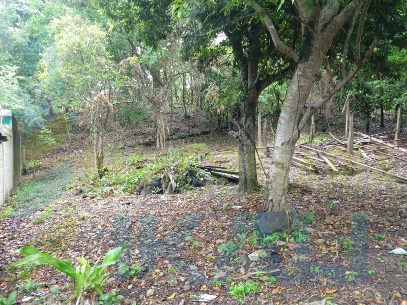 Terreno en Venta en Los Mangos