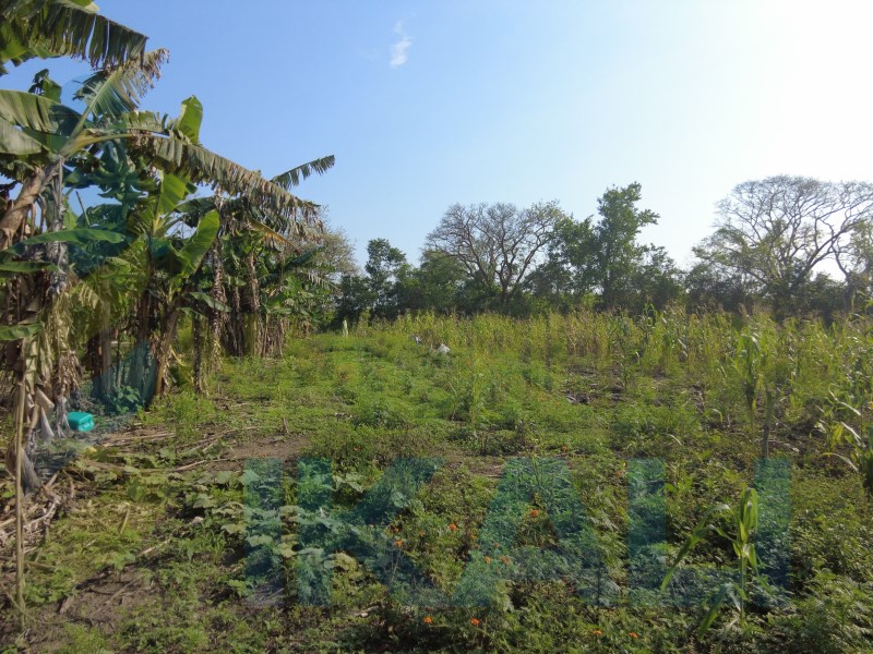 Terreno en Venta en Laja de Coloman