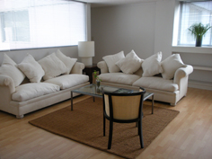 Departamento en Renta en Colonia Polanco IV Seccion