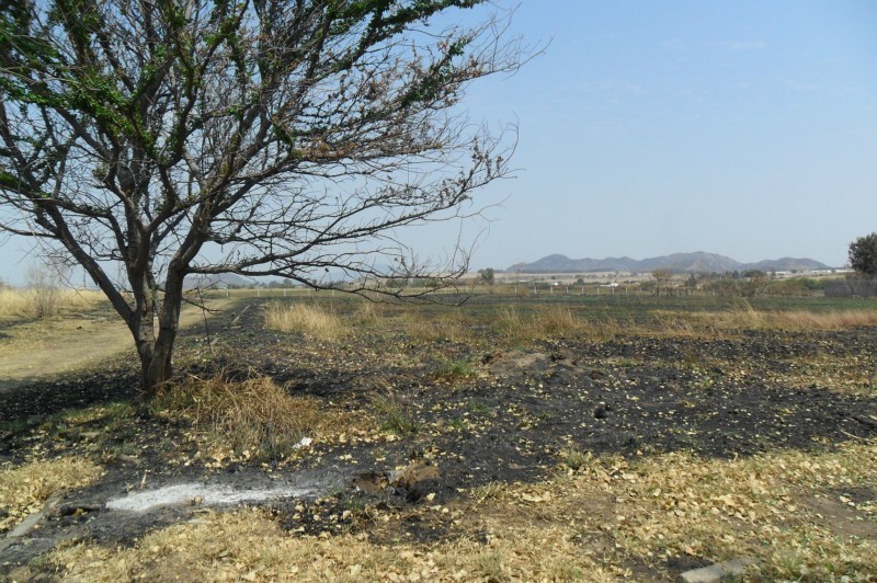 Terreno en Venta en COLINAS DEL MARTEL