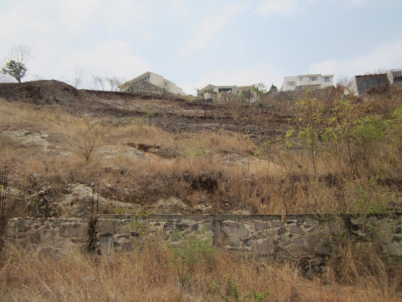Terreno en Venta en LOS CEDROS