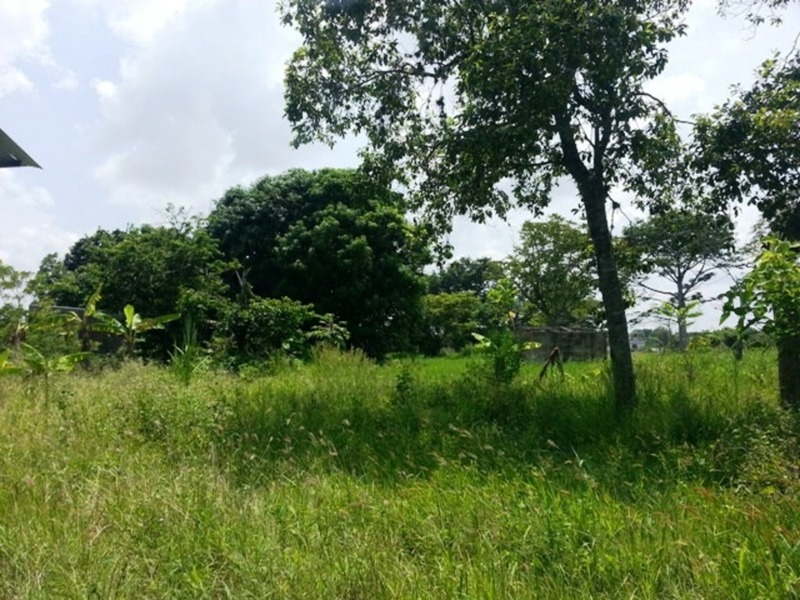 Terreno en Venta en Acachapan y Colmena