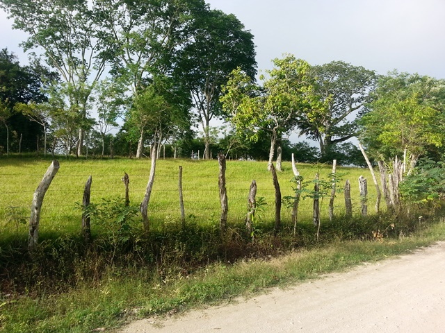 Terreno en Venta en 2 Montes