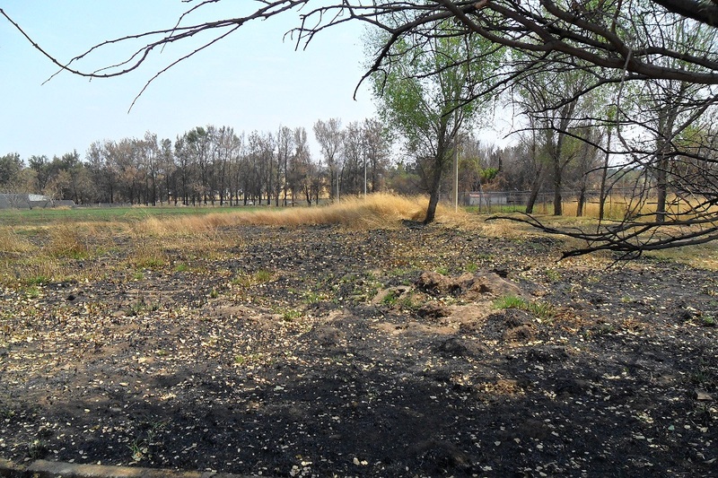 Terreno en Venta en EL MARTEL