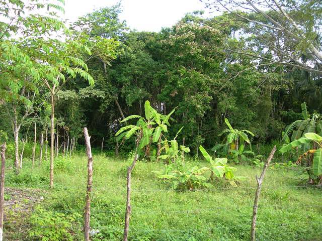 Terreno en Venta en Sabina