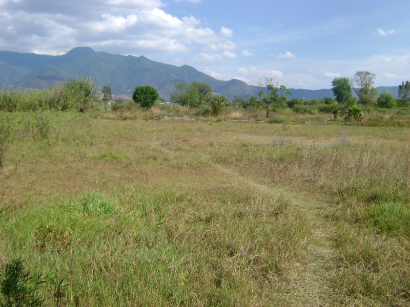 Terreno en Venta en etla