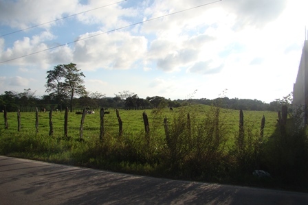Terreno en Venta en Ria.Barrancas y Amate