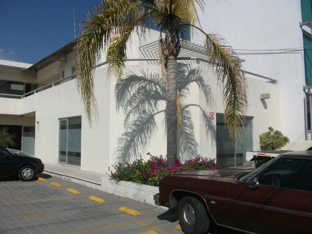 Local/Oficina en Renta en Residencial Italia