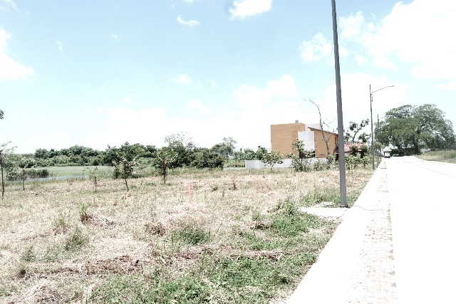 Terreno en Venta en Fracc. Altozano