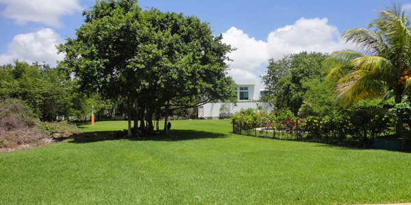 Terreno en Venta en Lagos del Sol
