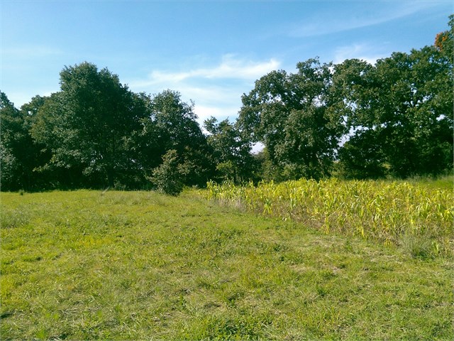 Terreno en Venta en San Miguel Tenancingo